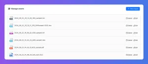 Manage assets interface displaying a list of files with options to delete.