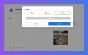Share dialog box with Team, Custom, Public tabs and a Save button.
