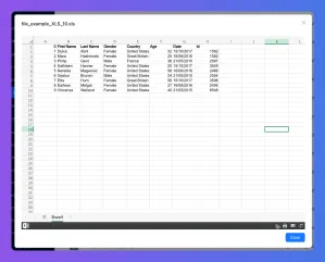 Spreadsheet showing customer data with columns for name, gender, country, age, and date.
